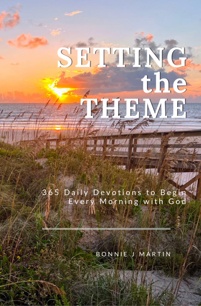 front book cover for Setting The Theme